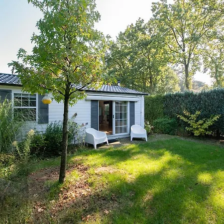 84, Gelegen In Het Rustige & Bosrijke Oisterwijk! Met Privetuin